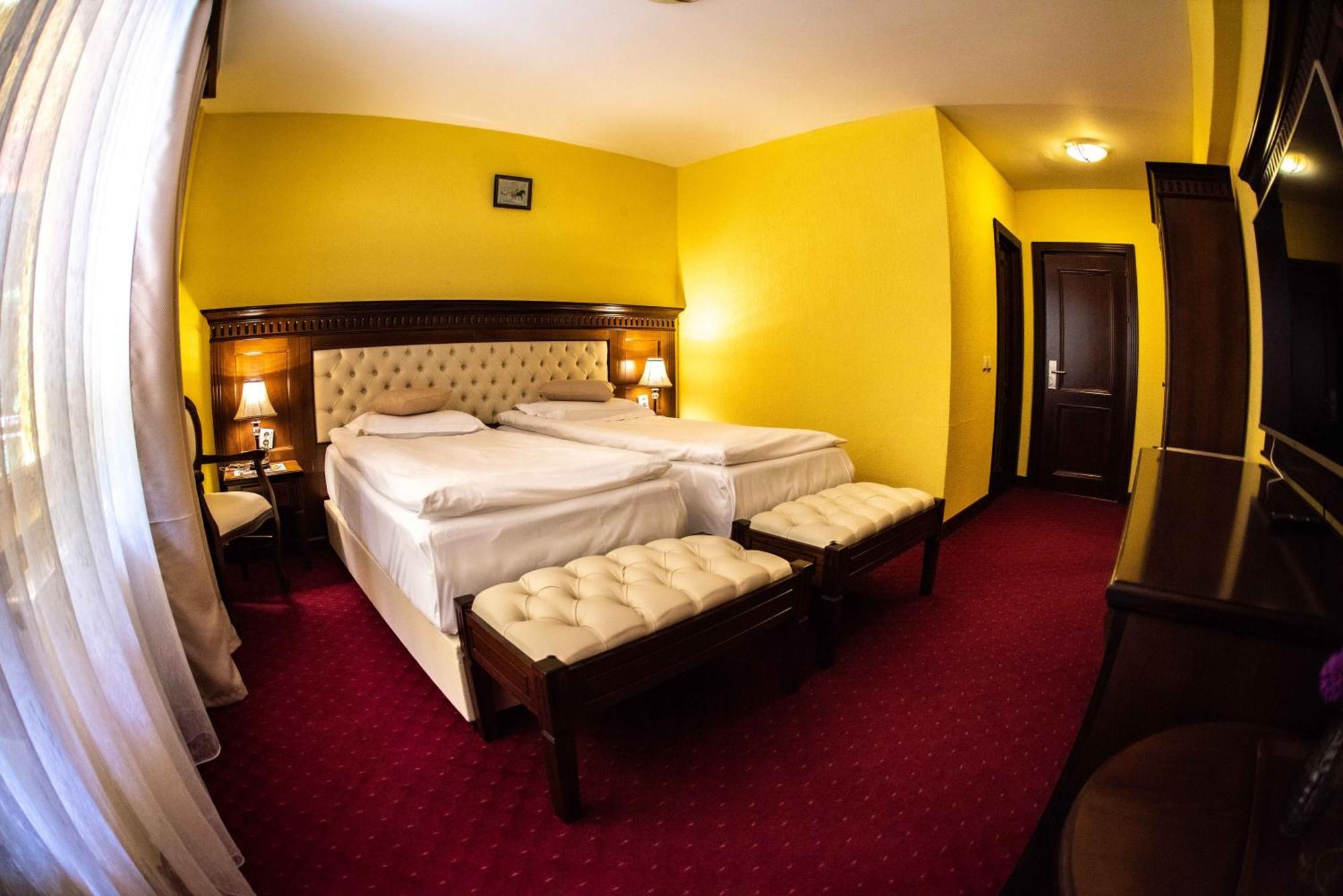 Hotel Trei Brazi Бэи­ле-Олэ­неш­ти Экстерьер фото