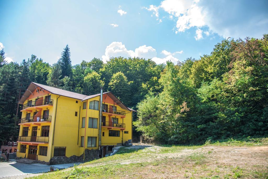 Hotel Trei Brazi Бэи­ле-Олэ­неш­ти Экстерьер фото
